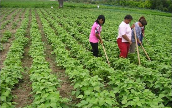 Start Plusz támogatásban részesül Gyulaj és Nagyszokoly