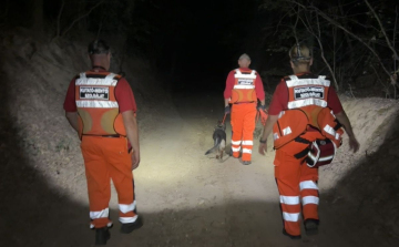 Csaknem 30 órányi keresés után találták meg a Páriból eltűnt nőt