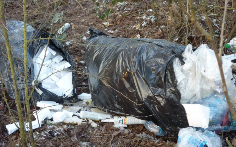 Telerakták az erdőt szeméttel