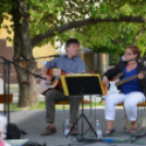 Kistérségi borverseny