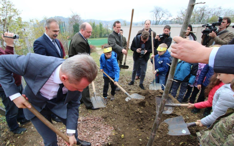 Az Országfásítási Program elkezdődött Tolna megyében is