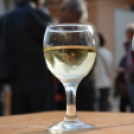 Kistérségi borverseny