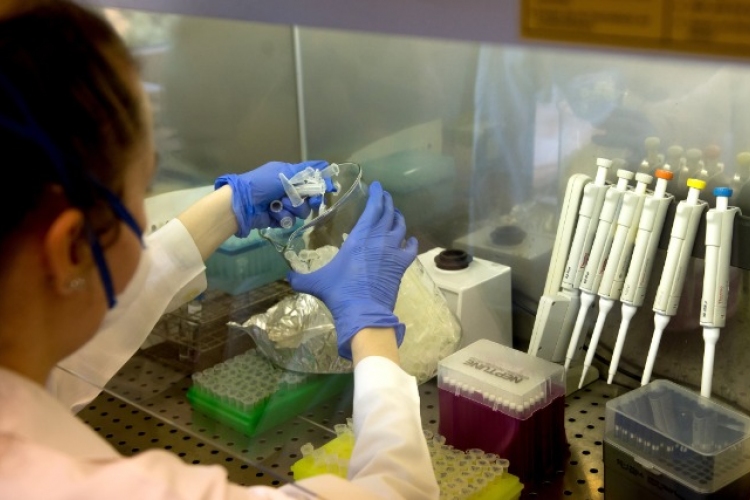 Az Országos Vérellátó Szolgálat nem végez PCR-mintavételt