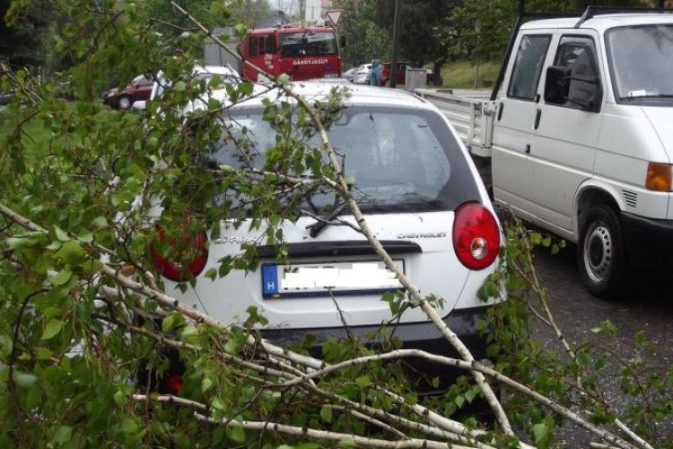 Kidőlt fákhoz vonultak a tűzoltók