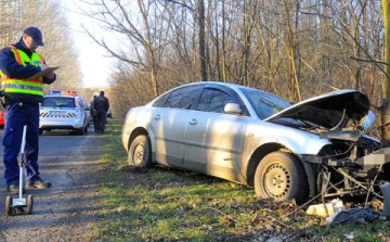 Őzek futottak az autók elé