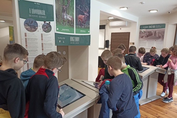 A Dám Pont bemutatja az erdők fantasztikus világát is 