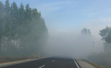 Gázolás a 61-es számú főúton