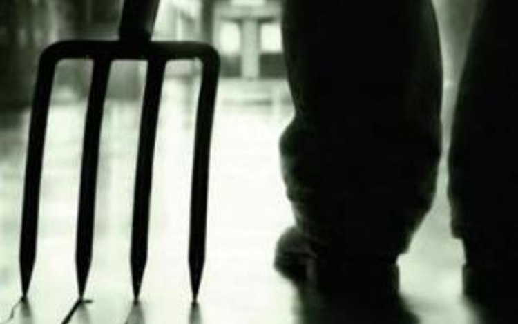 Vasvillával támadt élettársára