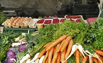 Ellenőrzésekre kell számítani Tolna megyében a héten 