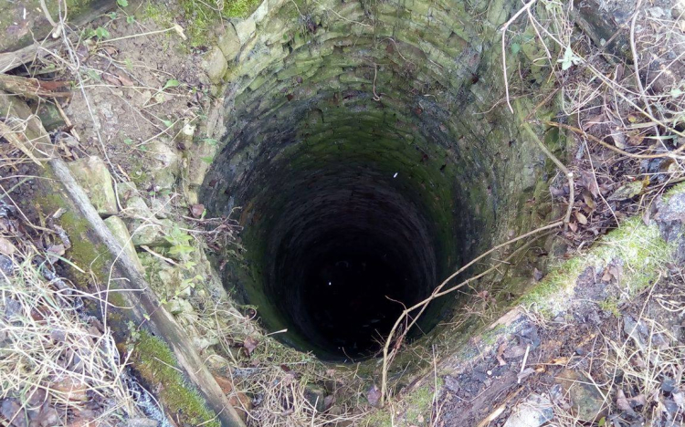 Bajba jutott kutyához siettek a tűzoltók