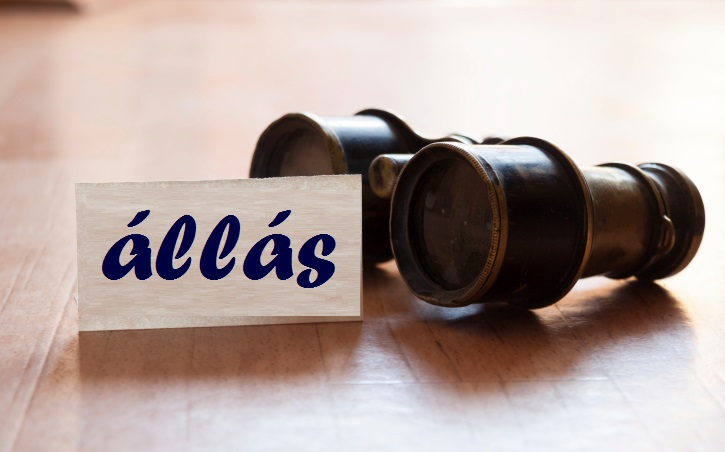 Vadonatúj állásajánlataink