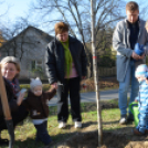 Faültetés a 2015-ben született gyermekek tiszteletére