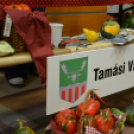 Közfoglalkoztatási konferencia