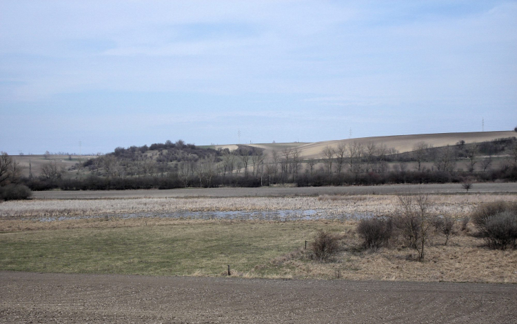 Bemutatják a Pacsmagi-tavak madárvilágát