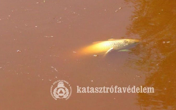 Kölesdnél tart a szennyezési hullám