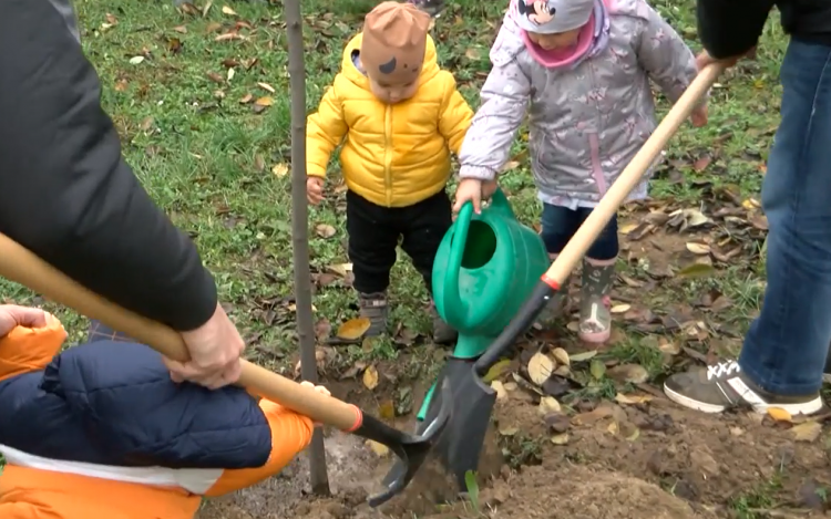 Tizenhetedik alkalommal ültettek fát a gyermekeknek