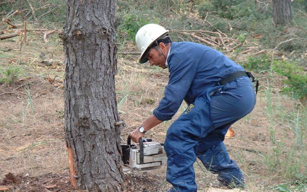 Boldog Apák Napját!