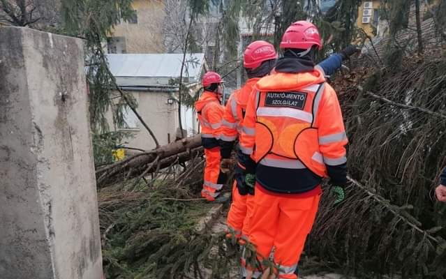 A szekszárdi kutató-mentők segítségére is nagy szükség volt hétvégén 