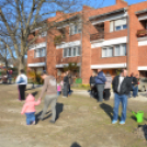 Faültetés a 2015-ben született gyermekek tiszteletére