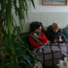 Nagykónyiban ragadtunk, de legalább jó volt a társaság