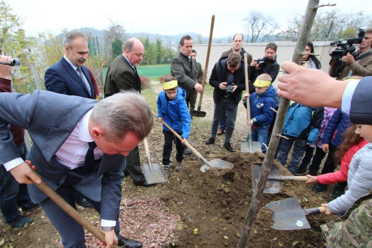 Az Országfásítási Program elkezdődött Tolna megyében is