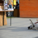 Kistérségi borverseny