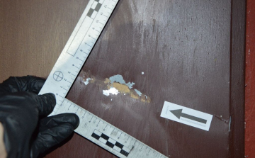 Beismerő vallomást tett a fiú