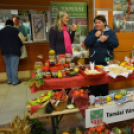 Közfoglalkoztatási konferencia