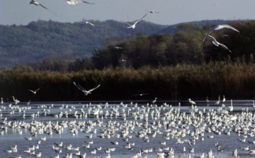 A jó idő közeledtével megkezdődnek a túrák Tolna megye természetvédelmi területein