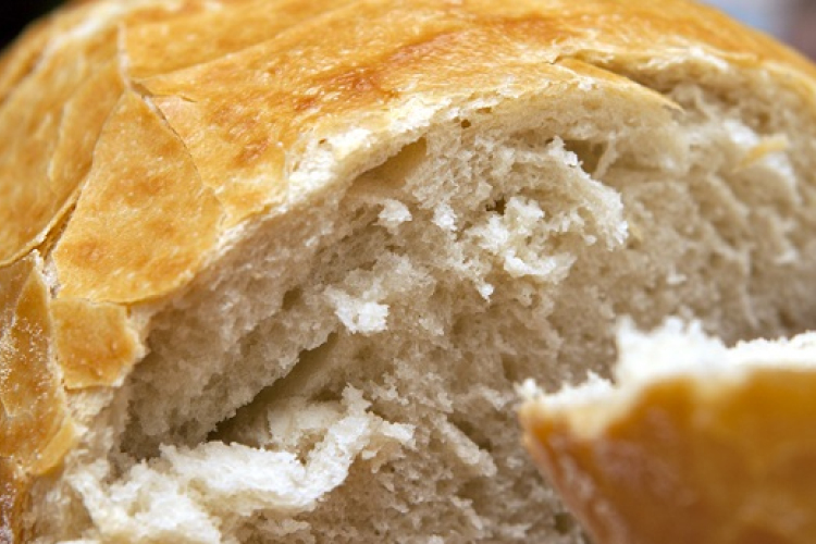 A Tolna megyei gazdák is gyűjtik a búzát a Magyarok Kenyerébe