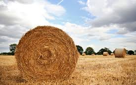 Meghívó agrárfórumra