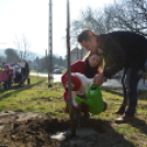 Faültetés a 2015-ben született gyermekek tiszteletére