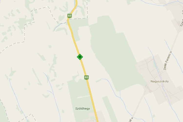 Fa dőlt az úttestre