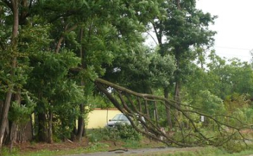 A tamási tűzoltóknak is akadt munkájuk a hosszú hétvégén