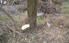 Nem tudta, hogy nem az övé