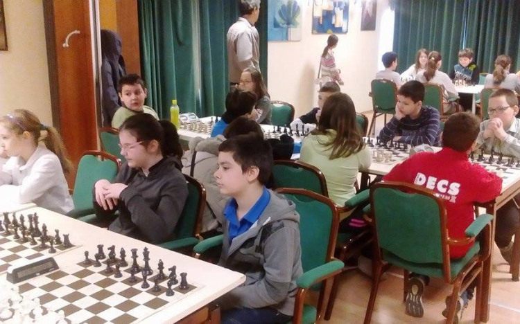 Harc az oroszlánért