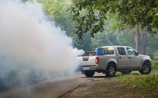 Földi szúnyoggyérítés lesz Tamásiban
