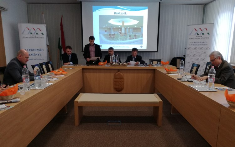 Fürdővárosok polgármesterei Tamásiban