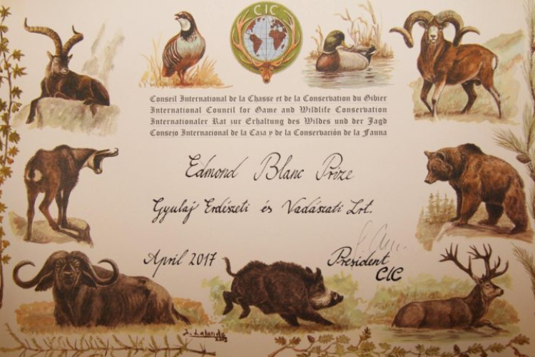 Rangos vadászati díjat kapott a Gyulaj Zrt. a CIC-től