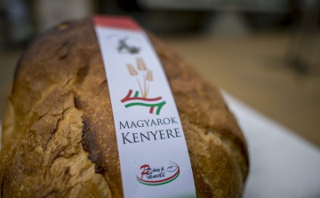 Évről évre Tolna megye is ad a Magyarok Kenyeréhez búzát 