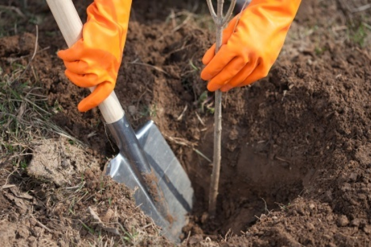 Közfoglalkoztatási Kiállítás és Konferencia