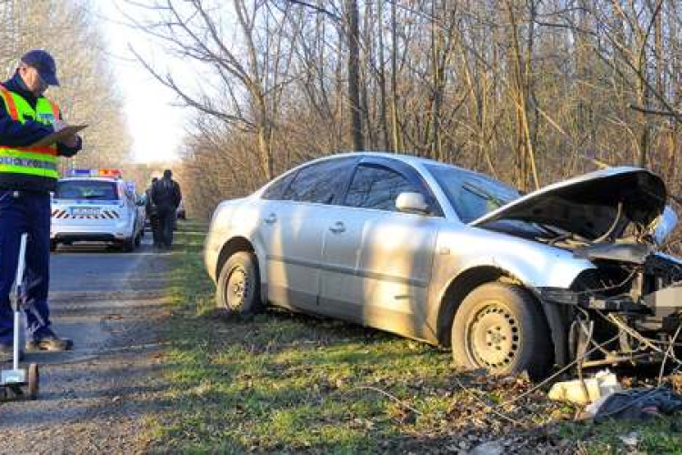 Őzek futottak az autók elé