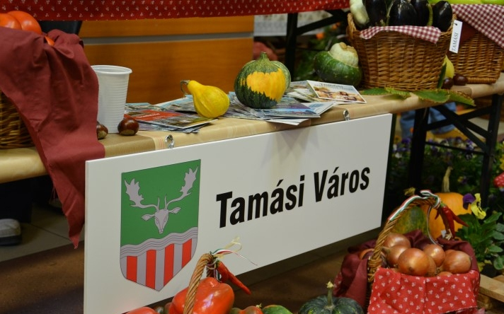 Közfoglalkoztatási Kiállítás és Konferencia Tamásiban