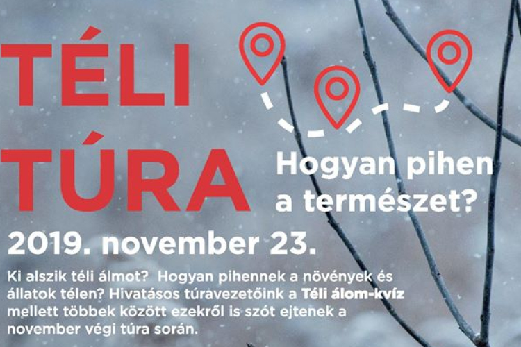 Hogyan pihen a természet?