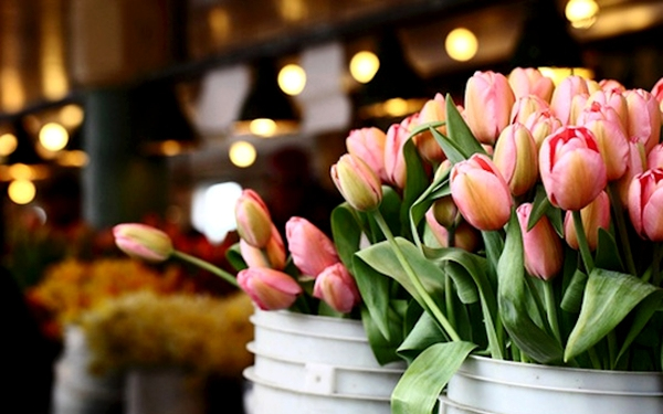 Nőnapi ellenőrzések zajlanak a héten Tolna megyében 