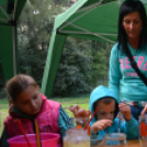 Trófeaszemle és szarvasbőgő élménytúra