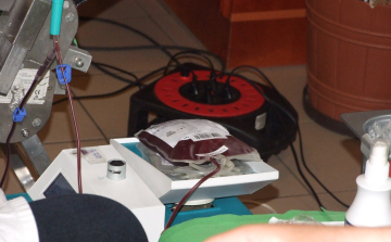 Vért adtak az állami erdőgazdaságnál Tamásiban