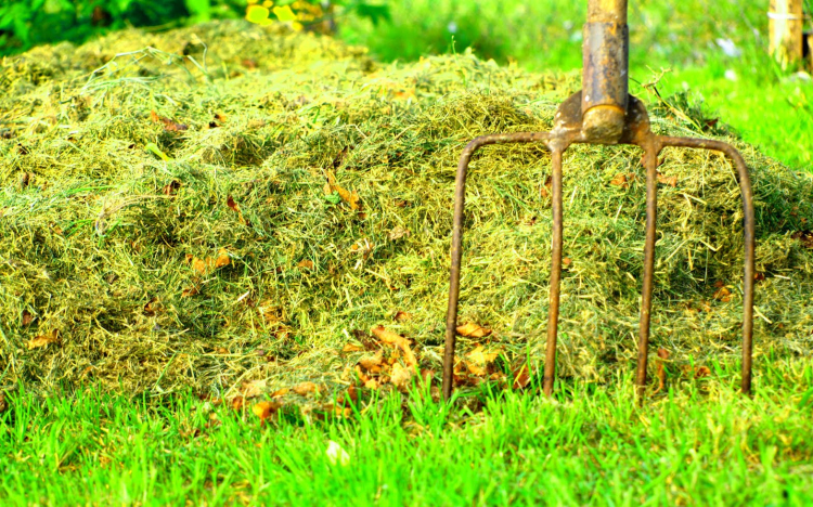 Vasvillával és kalapáccsal támadt vitapartnerére