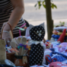 Tamási Borgácsmestere főzőverseny és civil nap