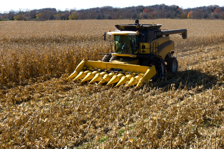 Országosan a legmagasabb a termésátlag Tolna megyében